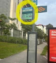 Jurong East Street 24 (D22), Shop House #574145361